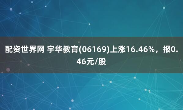 配资世界网 宇华教育(06169)上涨16.46%，报0.46元/股