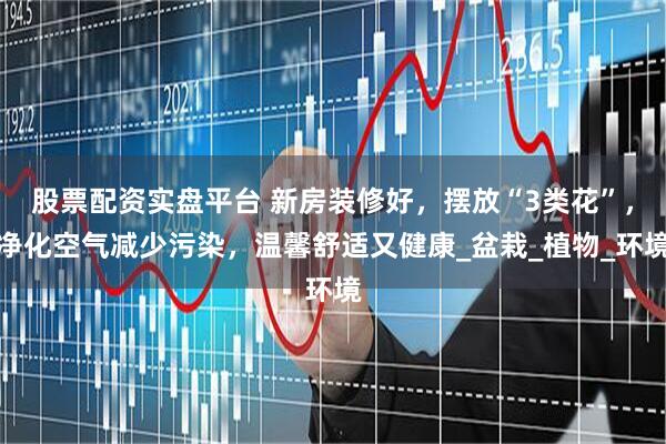 股票配资实盘平台 新房装修好，摆放“3类花”，净化空气减少污染，温馨舒适又健康_盆栽_植物_环境